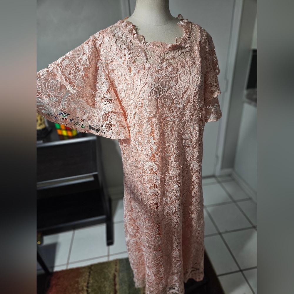 Giovanna Pink Place Dress Size 16W